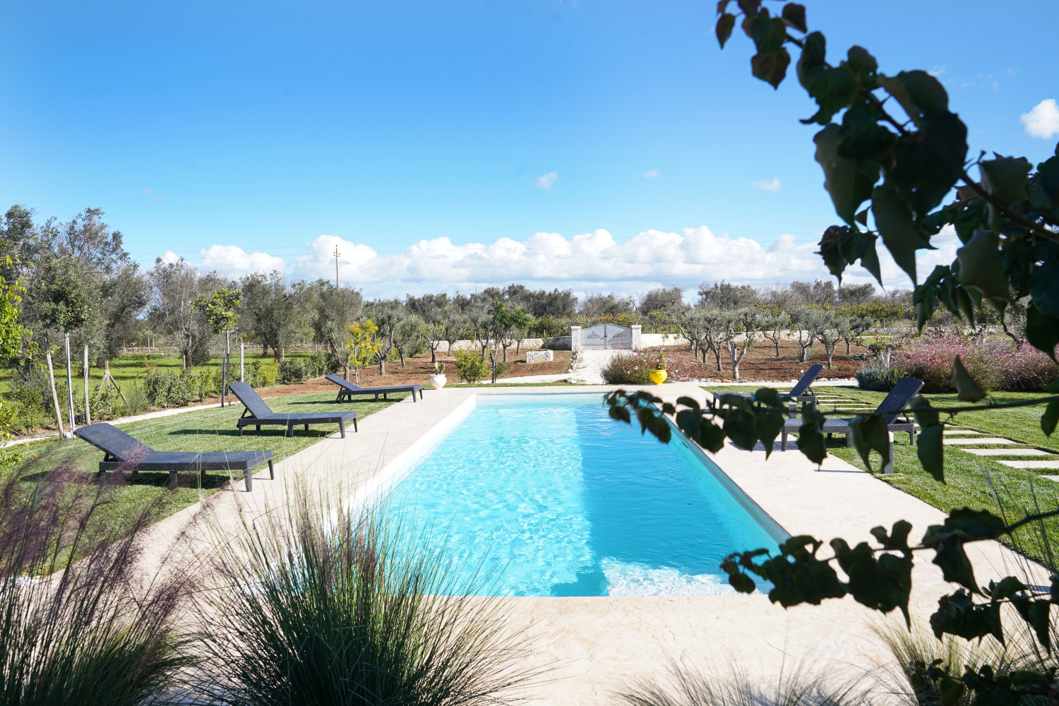 3fc69385f3217dca8c66e4276a83dfd0a2b05e115f7d3284e271745d4a4554a8